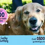 guide dogs lucky lottery